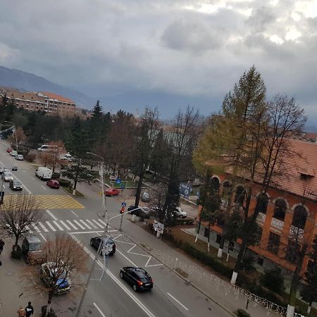 Apartament Garsoniera Mihaela Petroszany Zewnętrze zdjęcie