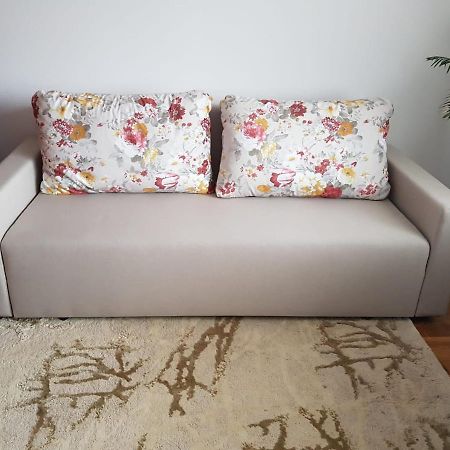Apartament Garsoniera Mihaela Petroszany Zewnętrze zdjęcie
