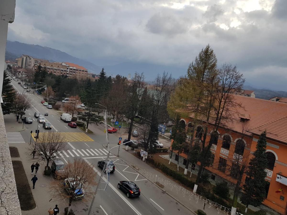 Apartament Garsoniera Mihaela Petroszany Zewnętrze zdjęcie