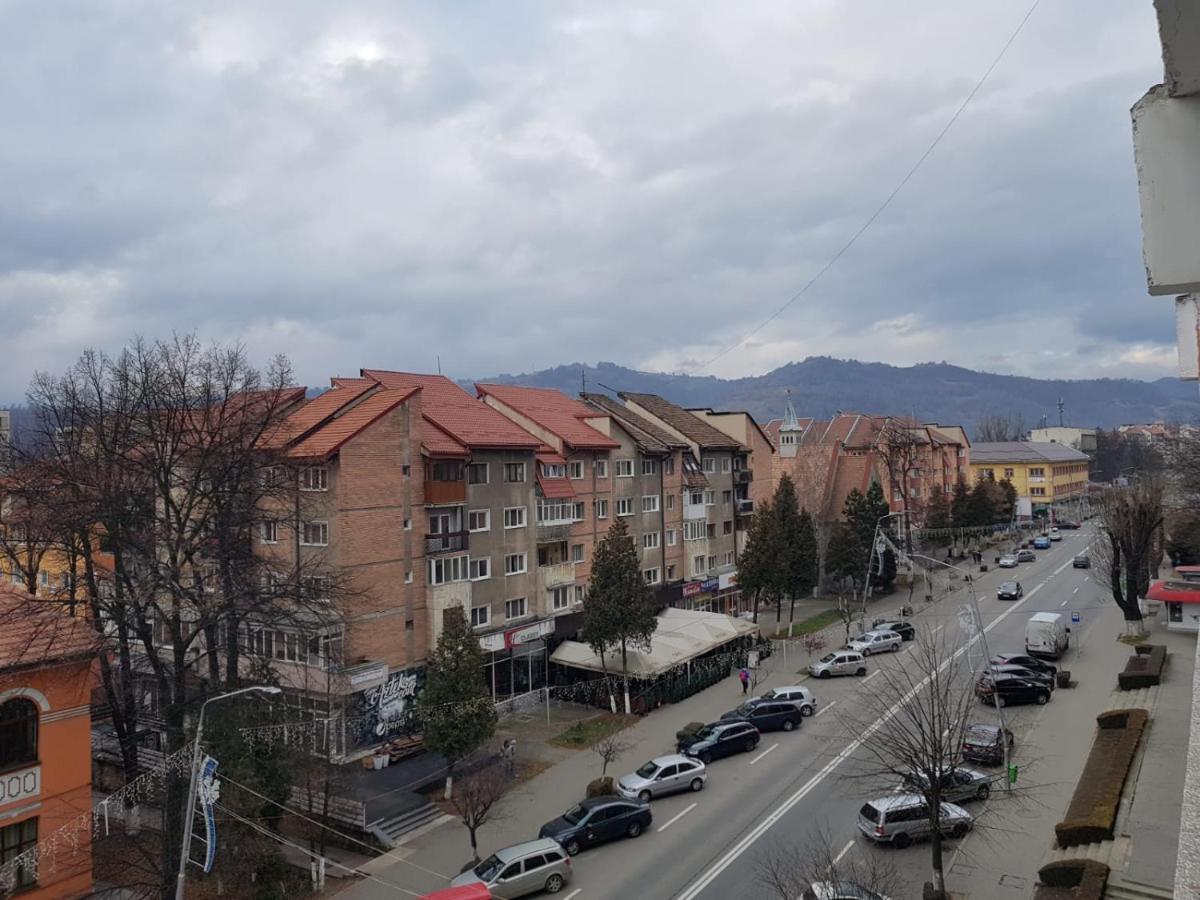 Apartament Garsoniera Mihaela Petroszany Zewnętrze zdjęcie