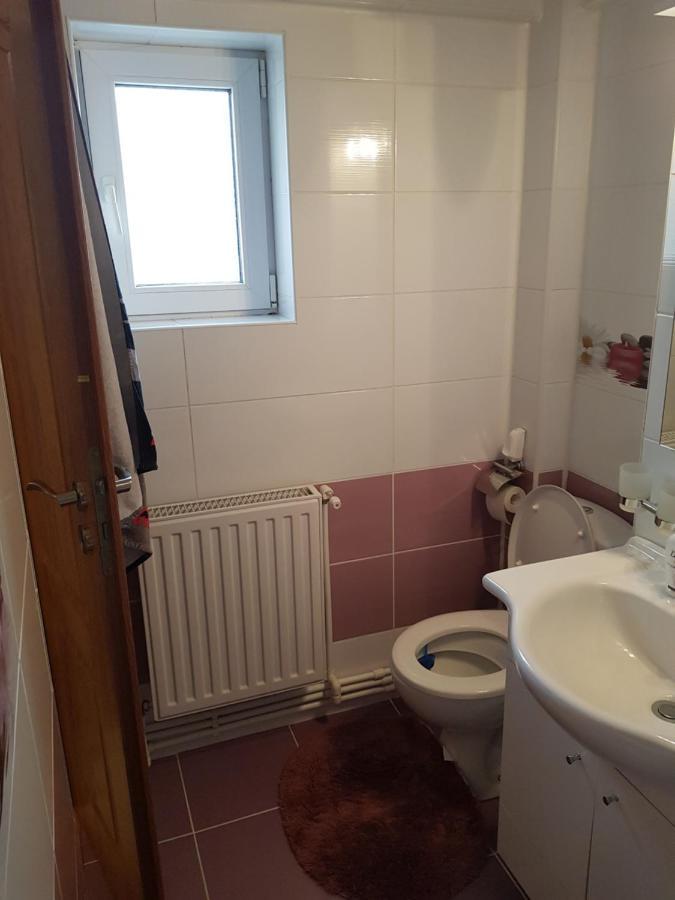 Apartament Garsoniera Mihaela Petroszany Zewnętrze zdjęcie