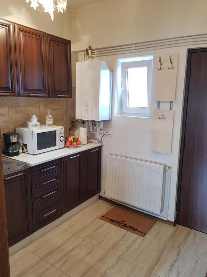 Apartament Garsoniera Mihaela Petroszany Zewnętrze zdjęcie