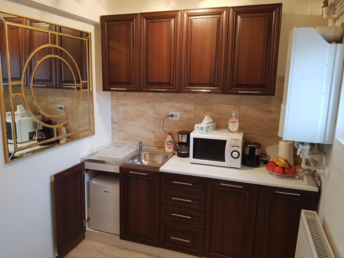 Apartament Garsoniera Mihaela Petroszany Zewnętrze zdjęcie