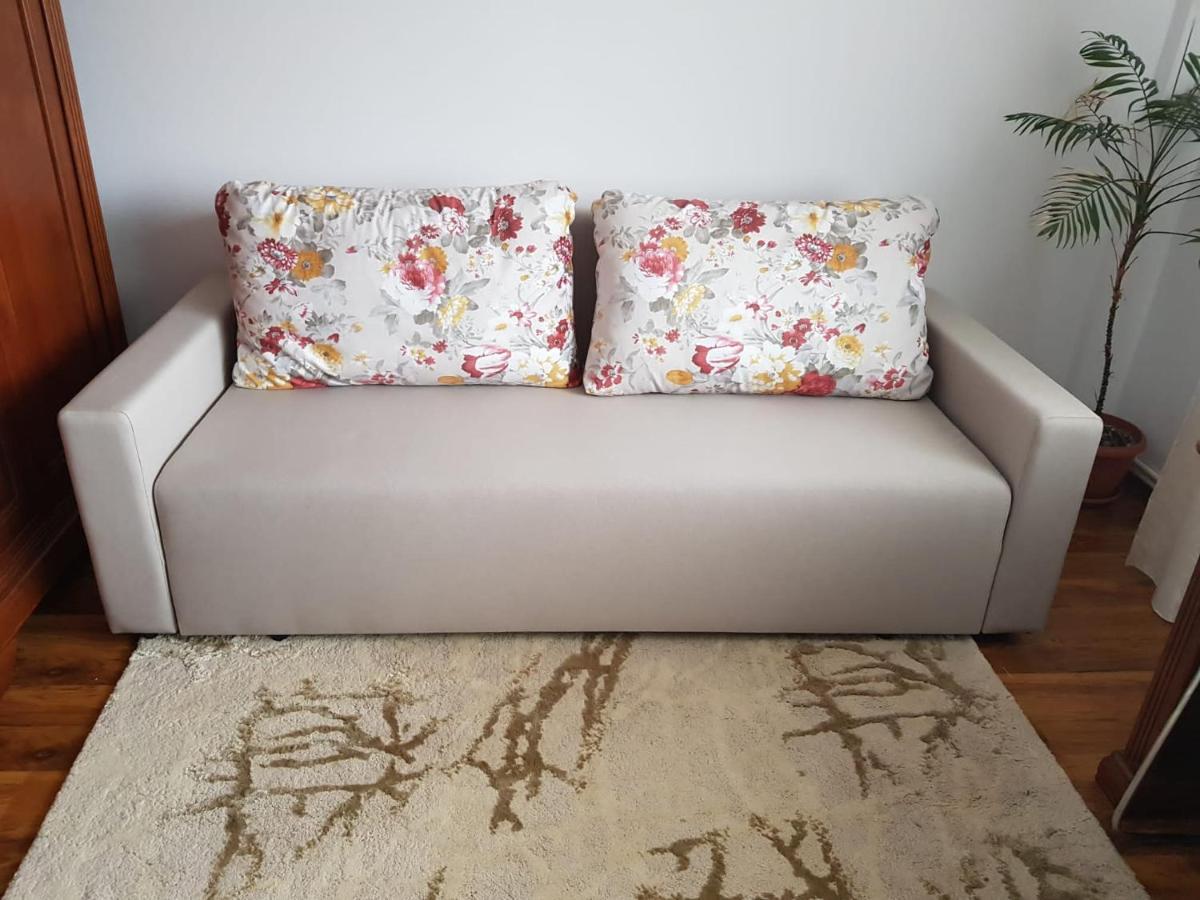 Apartament Garsoniera Mihaela Petroszany Zewnętrze zdjęcie