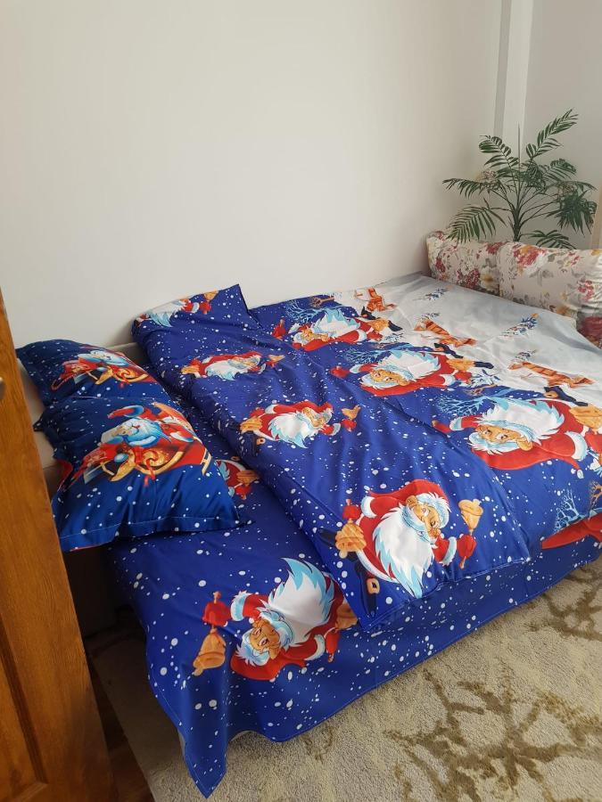 Apartament Garsoniera Mihaela Petroszany Zewnętrze zdjęcie