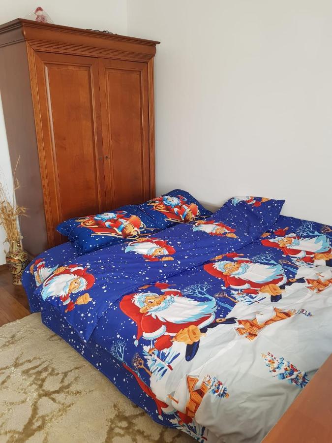 Apartament Garsoniera Mihaela Petroszany Zewnętrze zdjęcie
