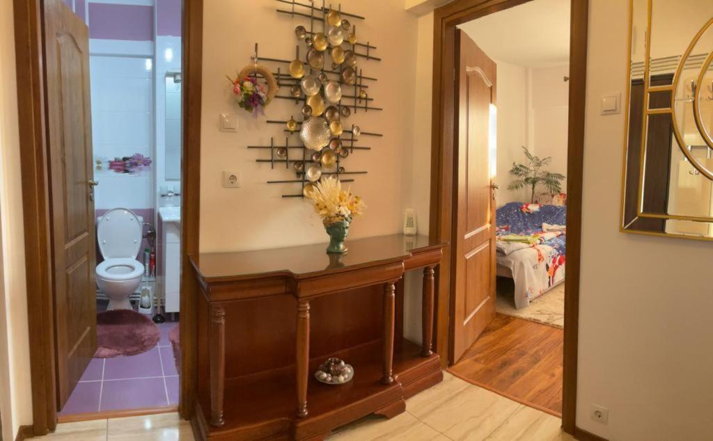 Apartament Garsoniera Mihaela Petroszany Zewnętrze zdjęcie